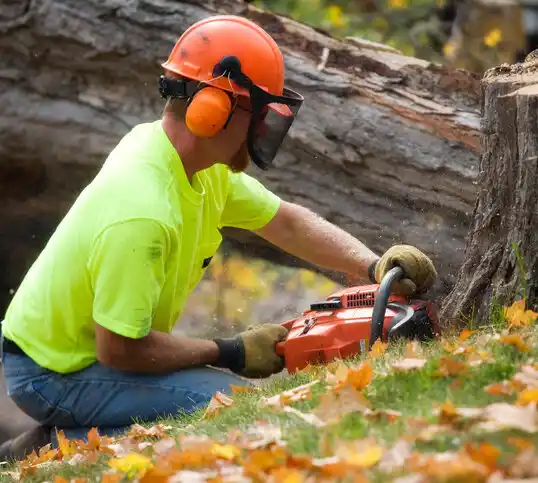 tree services Quinnesec